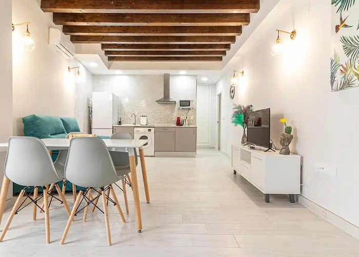 Allo Plateros Centro Jacuzzi Comunitario Apartment Jerez de la Frontera